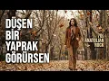DÜŞEN BİR YAPRAK GÖRÜRSEN - SONBAHAR RÜZGARLARI / 70S ANATOLIAN ROCK