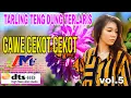 Download Lagu mabok bae tarling teng dung cirebonan mimi carini vol 5