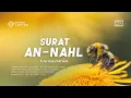 Download Lagu Surat An-Nahl (Lebah) Irama Bayyati, Doa Terhindar Dari Hutang, Penyakit dan Kesulitan Dalam Hidup