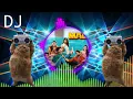Kallajodu College Papa DJ music song | MAD | Kalyan Shankar | Bheems Ceciroleo | Maa Paata Mee Nota