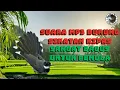 Download Lagu suara mp3 pikat burung sikatan kipas sangat bagus untuk pemikat pemula @pemikatdesa