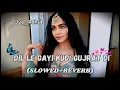 Dil Le Gayi Kudi | Slowed Reverb | Lofi Music | Hansasari aala |