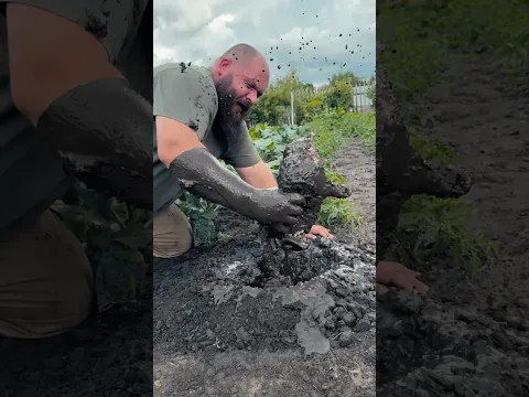 Как избавиться от крота вредителя!