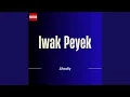 Download Lagu Iwak Peyek