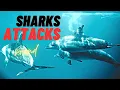 Download Lagu Relaxation with sharks music Water Full of Shark Fins