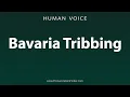 Download Lagu How To Pronounce Bavaria Tribbing