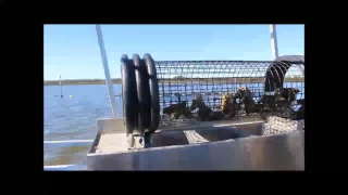 Tim Holbrook s DIY Oyster Sorter
