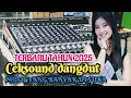Download Lagu CEKSOUND DANGDUT TERBARU 2025🔊 MUSIC YANG BANYAK DI SUKA OPERATOR