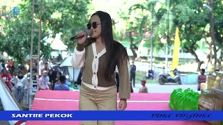 Download Santri Pekok(Cipt.Arif Citenk)cover Vina Virginia/Electone Sandes MP3