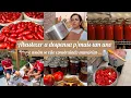 Download Lagu Vlog|Fiz molho de tomate, tomate pelado e doce de tomate/Ano após ano vamos adquirindo as nossas …