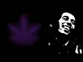 Concrete Jungle Bob Marley (With Lyrics)
