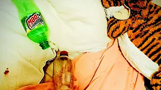 MP3 FULL ALBUM COMPILATION 