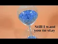 Royel Otis: Til the Morning (lyric video)