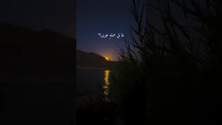 أينسى القلب إنسانا له في روحه مسرى 