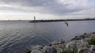 تصويري على بحر تركيا اسطنبول مع اروع اغاني الاسطورة ابراهيم تاتليس 