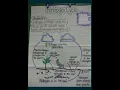 Know about Nitrogen Cycle Science Basic of Nitrogen Cycle
