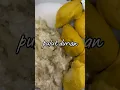 Download Lagu Pulut Durian. mmg tak pernah jemu mkn😍 resepi di komen ye⤵️ #pulutdurian #resepimudah #resepisimple