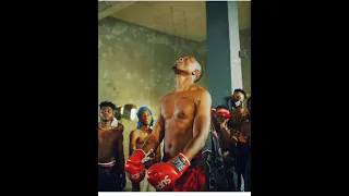 vector made money from mi beef was paid for reconciliation video song with mi soon punch stg