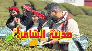 مغامرات في مدينة الشاي 😍