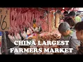 Download Lagu CHINA’S LARGEST FARMER’S MARKET IN 2025 | MORE THAN WHAT YOU EXPECTED