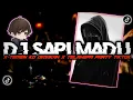 DJ SAPI MADU X TEMEN KO DIMAKAN X TELAHEPA PARTY TIKTOK🔥 WOLFGANG MENGKANE🤙😋