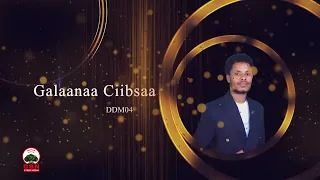 Xumura Dorgommii Daddaraaroo Moo Aa Moo Attootaa 2018 Dilbata 6 30irraa Eegalee Tamsaasa Kallattiin 