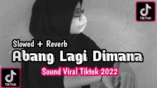 DJ Bang Abang Lagi Dimana 🎵 (Slowed + Reverb)