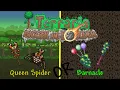 How good is the Barnacle Staff in Terraria 1 4 5 Terraria Bigger and Boulder Update
