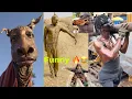 Lagu DO NOT Watch this in  Public  // fun moments challenge 😂😂👉// Best 100 Funniest Videos of 2025