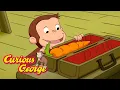 Download Lagu George's Perfect Carrot!  🐵 Curious George 🐵 Kids Cartoon 🐵 Kids Movies