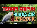 Download Lagu Terapi Suara Air dan LoveBird Ngetik