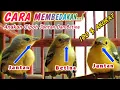 Download Lagu cara membedakan burung sirtu jantan dan betina || AKURAT.. .‼️CARA MEMBEDAKAN ANAKAN CIPOW