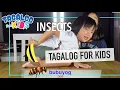 Insects in Tagalog Filipino Tagalog for Kids