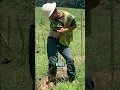 Download Lagu How Electric Fences Work⚡️