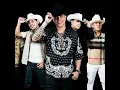 ALEGALE AL UMPIRE GRUPO FIRME