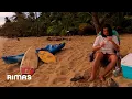Download Lagu Bad Bunny - Un Verano Sin Ti (360° Visualizer) | Un Verano Sin Ti