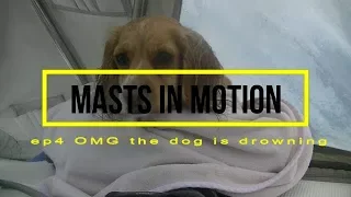 OMG the dog is drowning (SailingRhumor) ep 4 Sailing Scotland