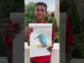 Pencil colour kingfisher thanks for 50 lakhs views Easy bird drawing Learn painting with me