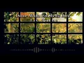 Donne Maula feat Sheila Dara - Tak Terima (Lirik)