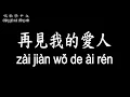 【唱歌學中文】►鄧麗君 / 再見我的愛人◀ ► Teresa Deng / Goodbye My Love ◀『我的愛 我相信 總有一天能再見』【動態歌詞中文、拼音Lyrics】