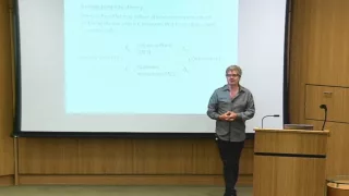 Sean Reardon - The MSMM-IV Model Conceptual Model and Assumptions