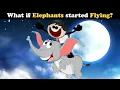 Download Lagu What if Elephants started Flying? + more videos | #aumsum #kids #children #education #whatif