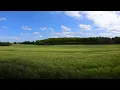 Relaxing Midwest Morning Birds Chirping on a Farm
