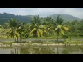 Download Lagu Franky \u0026 Jane - SEPERTI MATA AIR KEHILANGAN SUNGAI