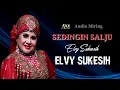 Download Lagu sedingin salju - elvy sukaesih - hq
