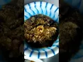 Download Lagu pecak betrik sambal trasi bawang kencur😰😛