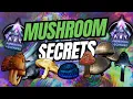 MUSHROOM Mastery in Ark Aberration Made Easy in 7 Minutes