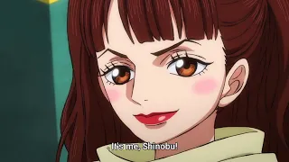 Shinobu Gets Glow Up Caribou overhears Straw Hats - One Piece 1083