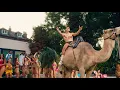 Download Lagu Jack Fowler - Foolish ft. Tom Zanetti