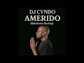 Download Lagu Dj Cndo -  Amerido(KilloTronix Bootleg Remix)